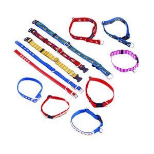 Pet Collar Leash