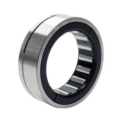 Roller Bearings for Motors