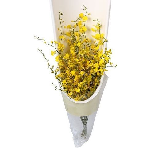Flower Sleeve Packaging Stand / 2