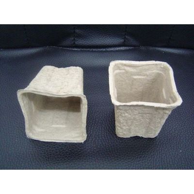 Flower pots ---disposable and biodegradable
