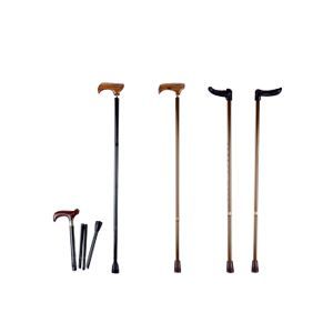 Walking Stick---WS-100A & 300A & 500W