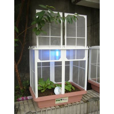 Four Season Garden (Bug-Free Cage) 03