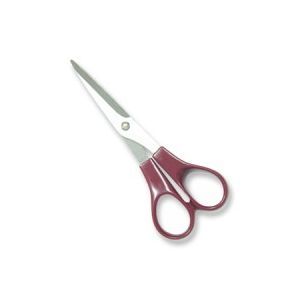 Craft Scissors > FMS3009A