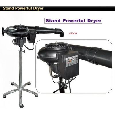 Stand Powerful Dryer