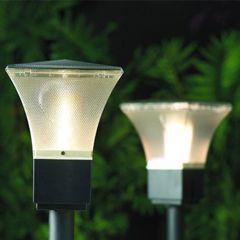 LAMP-Fluorescent