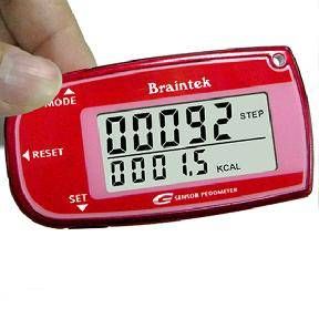 Pedometer