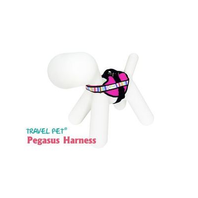 Pegasus Harness