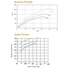 Plain Gauge Spoke / 2