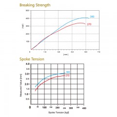Triple Butted Spoke / 2