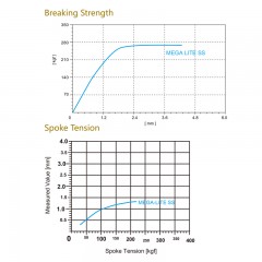 Mega Lite SS Spoke / 2
