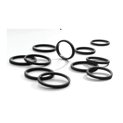 Oil Seal