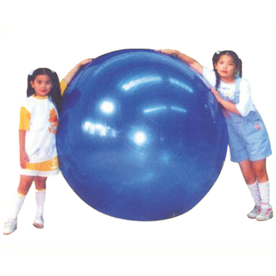 Rhythm Ball  GYM45-120CM