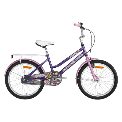 Youth Bike (KD-KidzGirl-20)