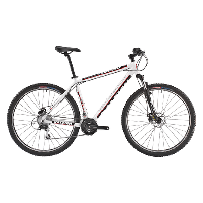 Mountain Bike (MT-RS290-AL29)