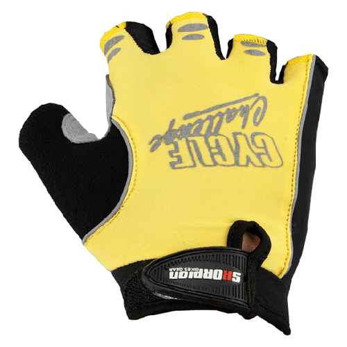 Gloves (WBG-071) / 3