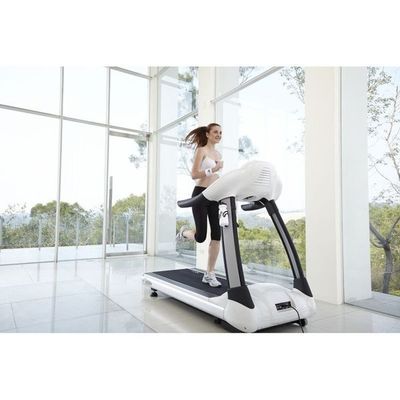 LT-5000i Commercial Grade Treadmill