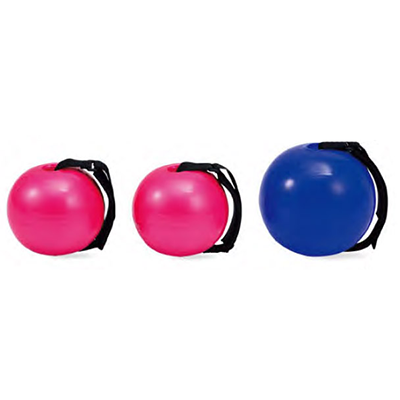 Trainer Ball / Weight Ball