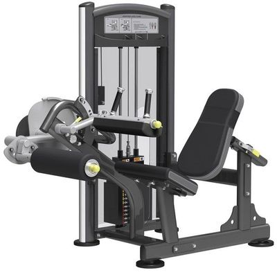 SEATED LEG CURL IT9306