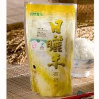 Fully Automatic packing machine P210T for doypack bag / 2