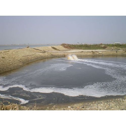 FORJET Paddlewheel Aerator / 3