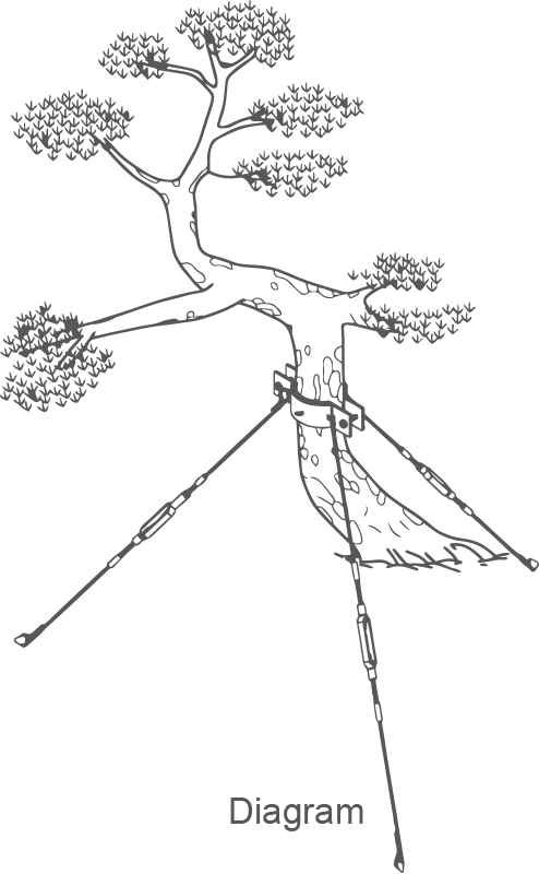 安裝示意圖