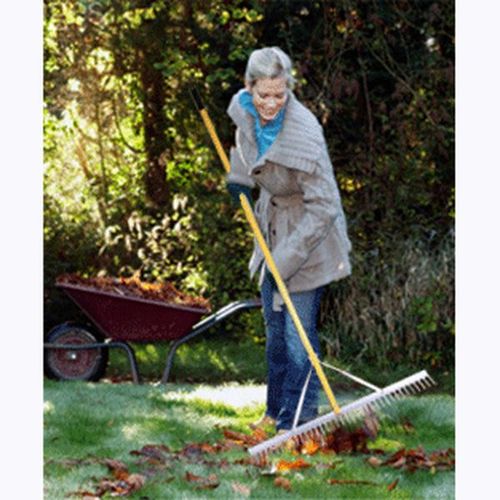 LANDSCAPE RAKE M-2695 / 3