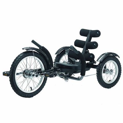 Tricycle G-2