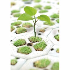 ECO-FRIENDLY PLASTIC OCTApavers TB5-G / 2