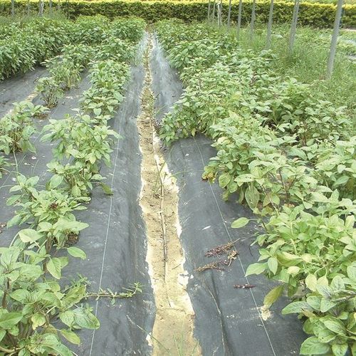 PE Weed Control Fabric FG-612 / 2