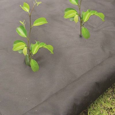 PP Weed Control Fabric FG-610