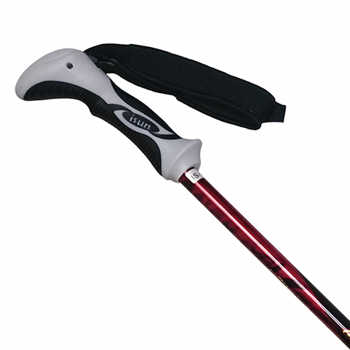 Trekking Pole 02 (PT3S002) / 2