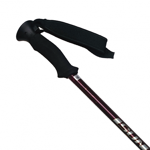 Trekking Pole 17 (PT3S041) / 2