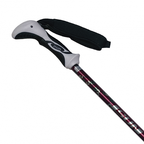 Trekking Pole 20 (PT3S040) / 2