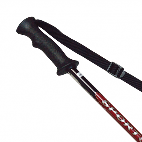 Trekking Pole 31 (AT3P019) / 2