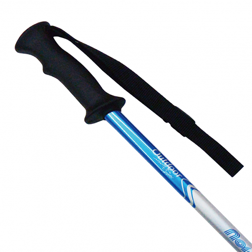 Nordic Walking Pole 02 (IWP-2275) / 2