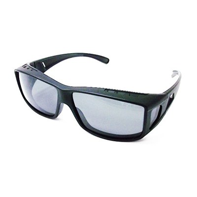 Sunglasses 10036