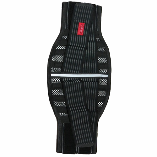 Sports Safety HC-L10A-waist belt / 2