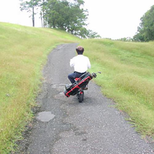 EGS06-600-1 Golf Trolley Electric Scooter(Li-Ion) / 3