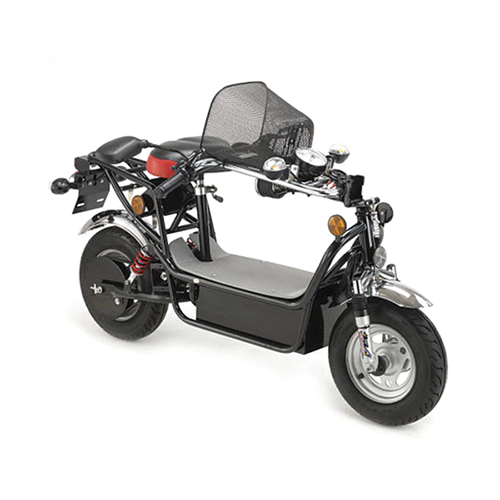 EV01-600 Motor Scooter (LI-ION) / 2