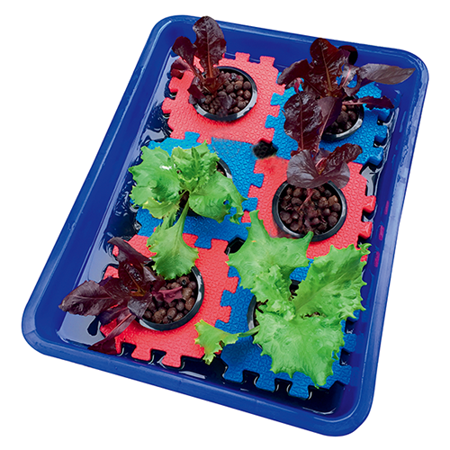 TH-105 Hydroponic Aquaponics Plant Pot / 2