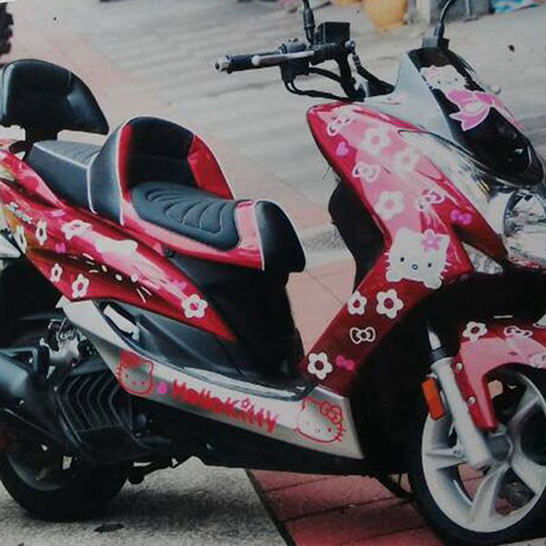 Motorcycles Seat Back SHS-003 / 2