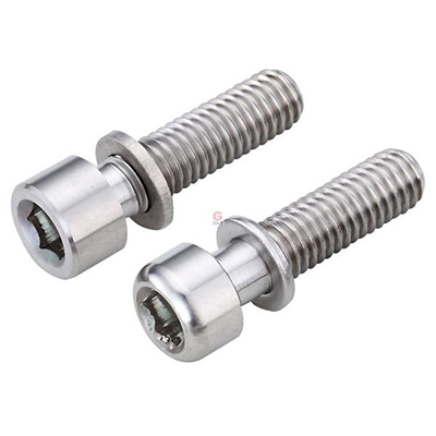 Titanium Alloy Screws & Washers Assembled (SEMS)