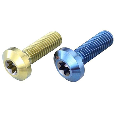 Titanium Alloy Screws - Anodised