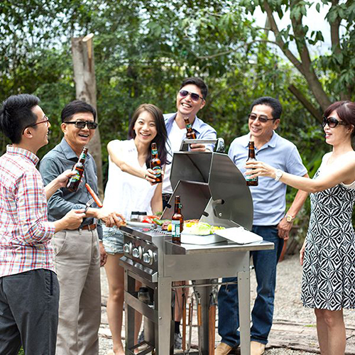 WL33000 Charcoal & Gas Grill / 3