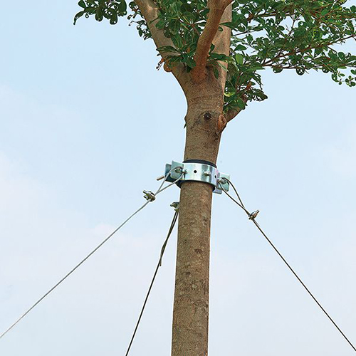 Adjustable Trees Staker / 2