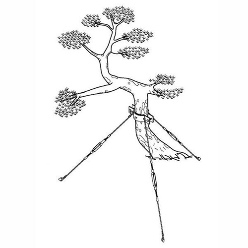 Adjustable Trees Staker / 3