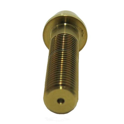 Titanium Screw PVD Gold / 2