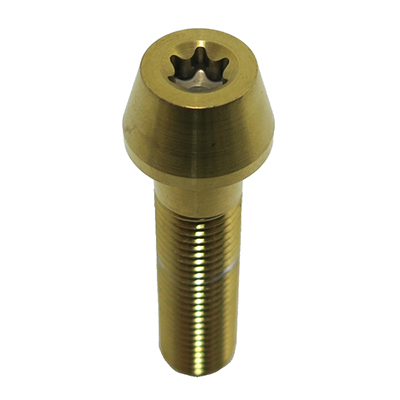 Titanium Screw PVD Gold