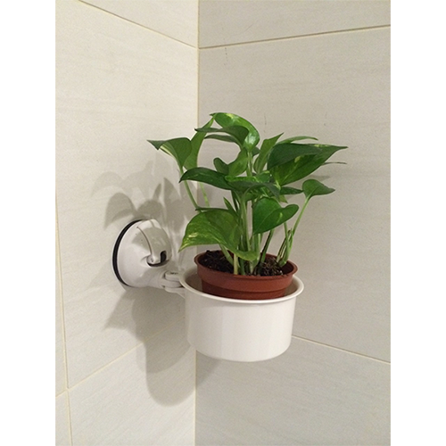 Planet Pot Holder w/ Suction Pad - C506002 / 2
