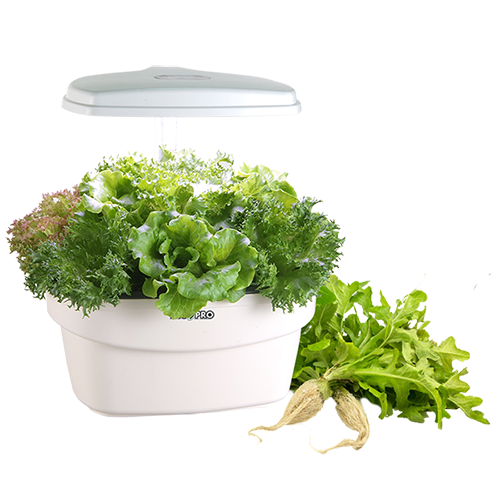 24W LED Indoor Hydroponics Grower HP-2025L / 2